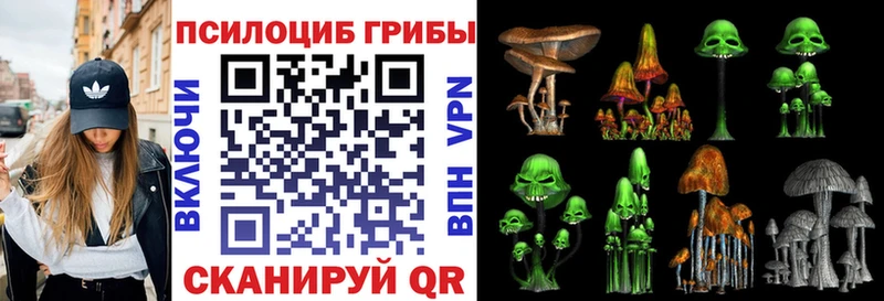это клад Алупка Псилоцибиновые грибы Cubensis